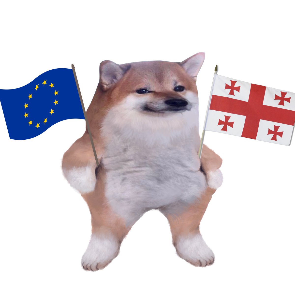 JessIsAStar1's tweet photo. @KShoshiashvili @FellaPilot Don’t forget Georgia.  🇬🇪 https://t.co/Y1OmTmDZfq