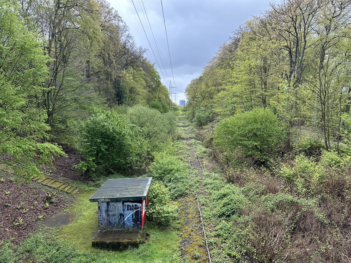 Wo der Asphalt endet, beginnt die Natur - im Ruhrgebiet verstecken sich grüne Paradiese hinter jeder Ecke…💚 Unterwegs in #NRW