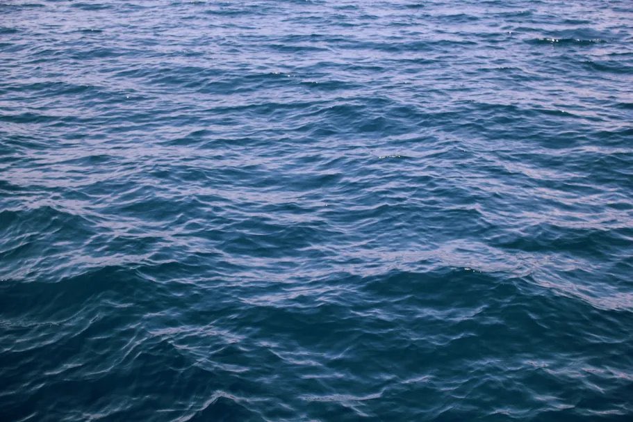 What a nice picture of the ocean. I sure hope nothing sinister is hidden in this image. I sure hope.