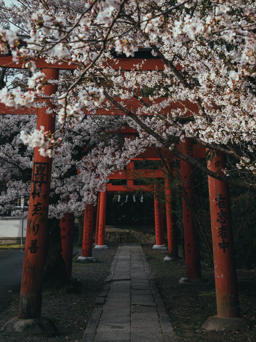 Y4m_pix_'s tweet image. 日本の美しい日常が大好きです🫶
私なりのトーンで仕上げた写真をお届けします。

#私の作品もっと沢山の人に広がれ祭り