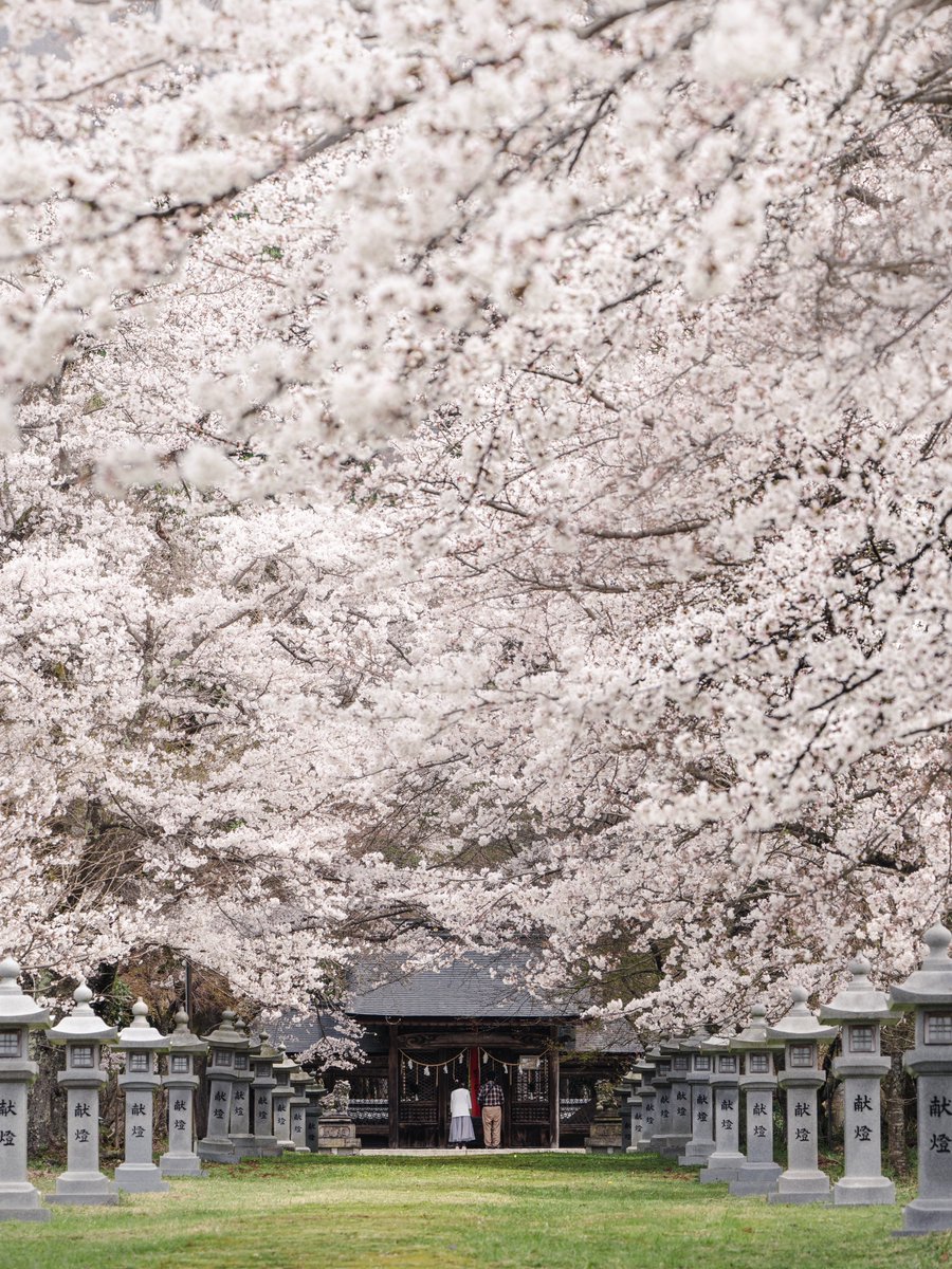 Y4m_pix_'s tweet image. 日本の美しい日常が大好きです🫶
私なりのトーンで仕上げた写真をお届けします。

#私の作品もっと沢山の人に広がれ祭り