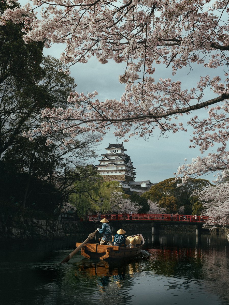 Y4m_pix_'s tweet image. 日本の美しい日常が大好きです🫶
私なりのトーンで仕上げた写真をお届けします。

#私の作品もっと沢山の人に広がれ祭り