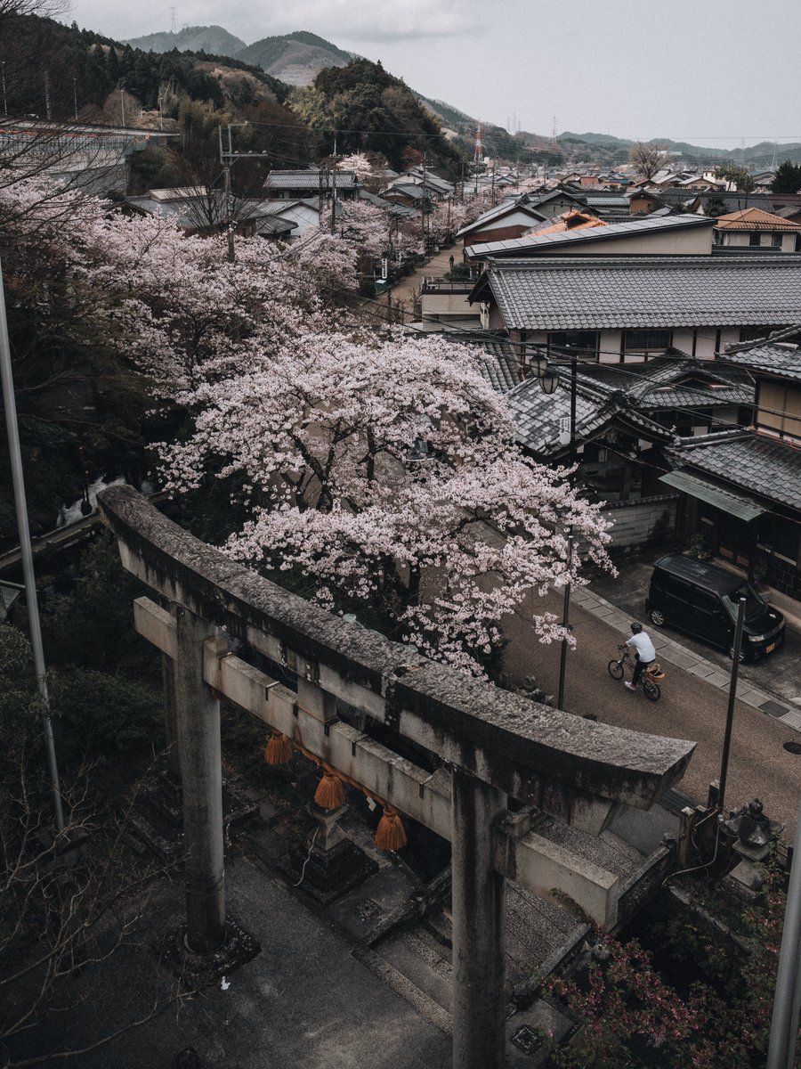 Y4m_pix_'s tweet image. 日本の美しい日常が大好きです🫶
私なりのトーンで仕上げた写真をお届けします。

#私の作品もっと沢山の人に広がれ祭り
