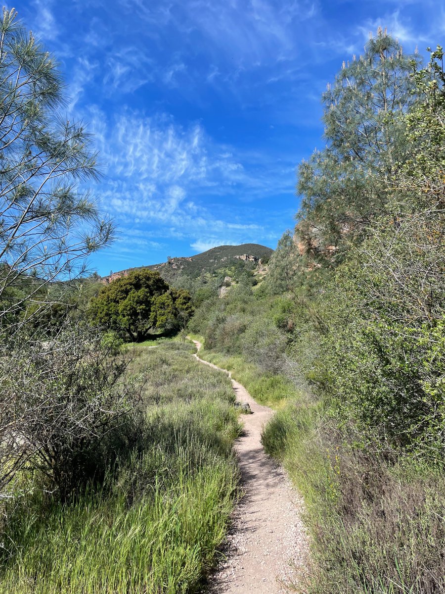 The clouds and rocks were special @PinnaclesNPS. Enjoyed the walk at #HighPeaksTrail. #米国国立公園 #岩場 #手すり