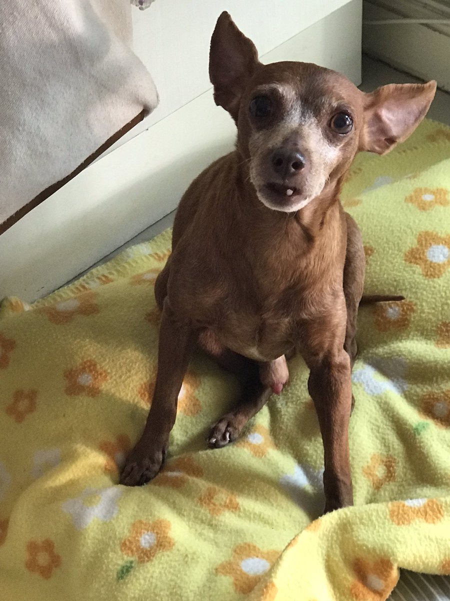 L30N4RDL0V3R tweet media