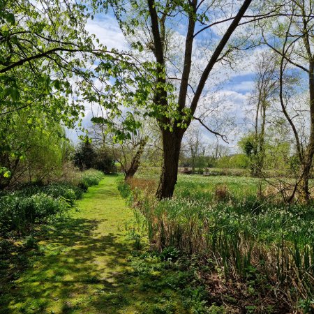 Withymead Nature Reserve tweet media