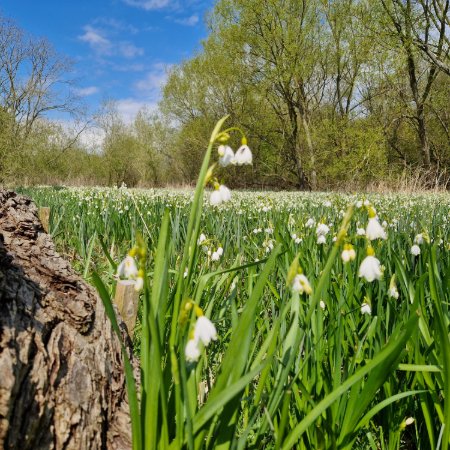 Withymead Nature Reserve tweet media