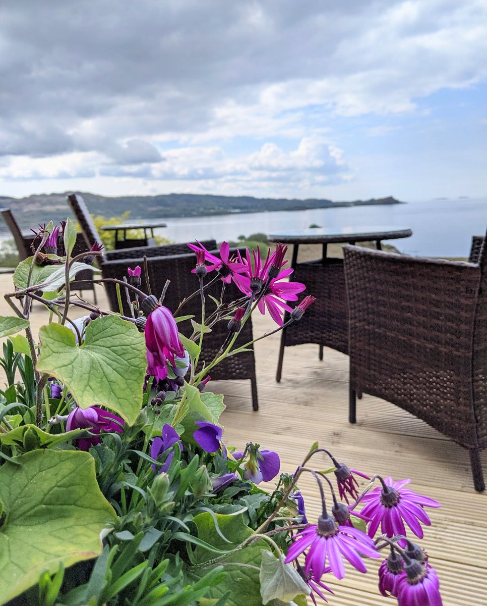 The ultimate spot to enjoy #NationalTeaDay? 🍵 Join us during dry days on our decking for our Light Lunch Menu, cakes and drinks – 11am until 4pm