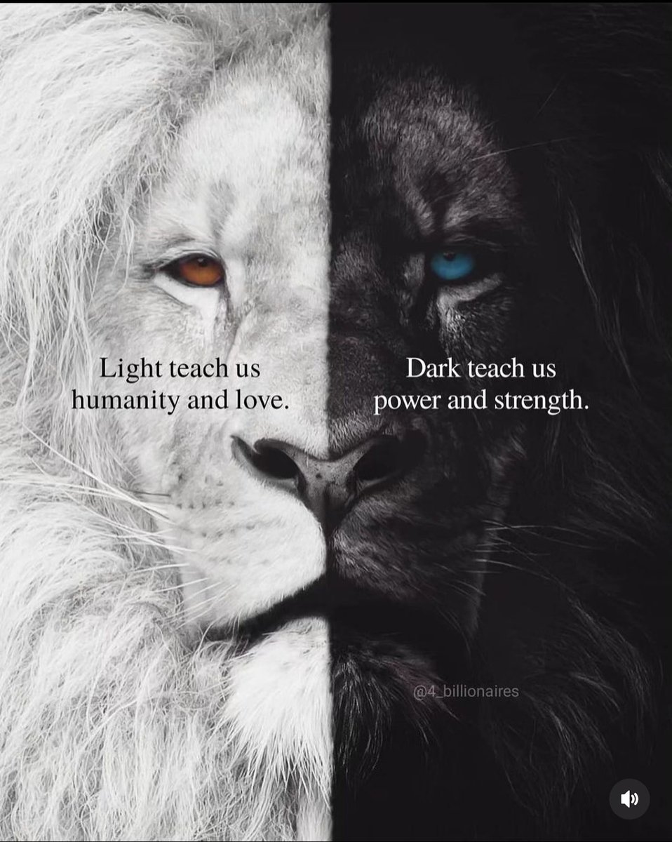 Light teaches us humanity and love. Dark teaches us power and strength.