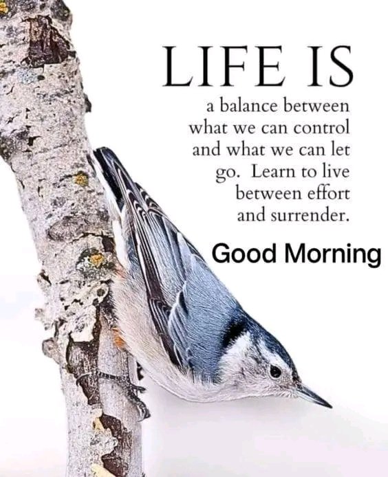 Marcus2608 tweet media