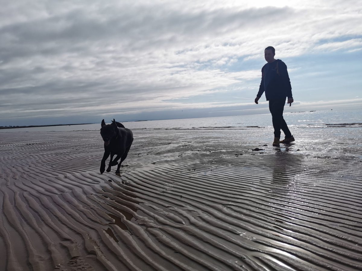 andrew horne tweet media