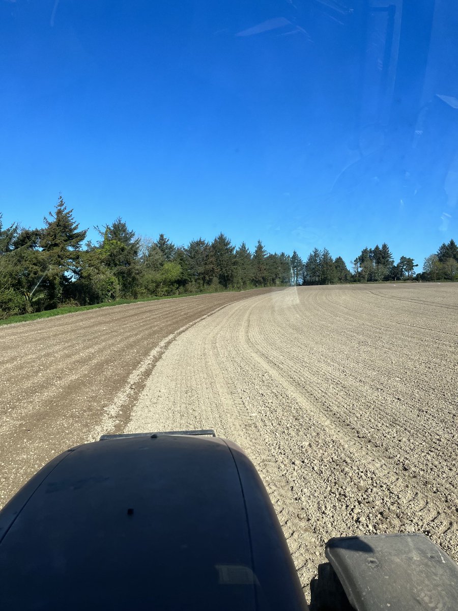 Blue skies and Planet this morning, great to finally be at this job. Planet malting barely ⁦<a href="/Goldcrop/">Goldcrop</a>⁩ going in for ⁦<a href="/DairygoldCo_Op/">Dairygold Co-Op</a>⁩ 🤞