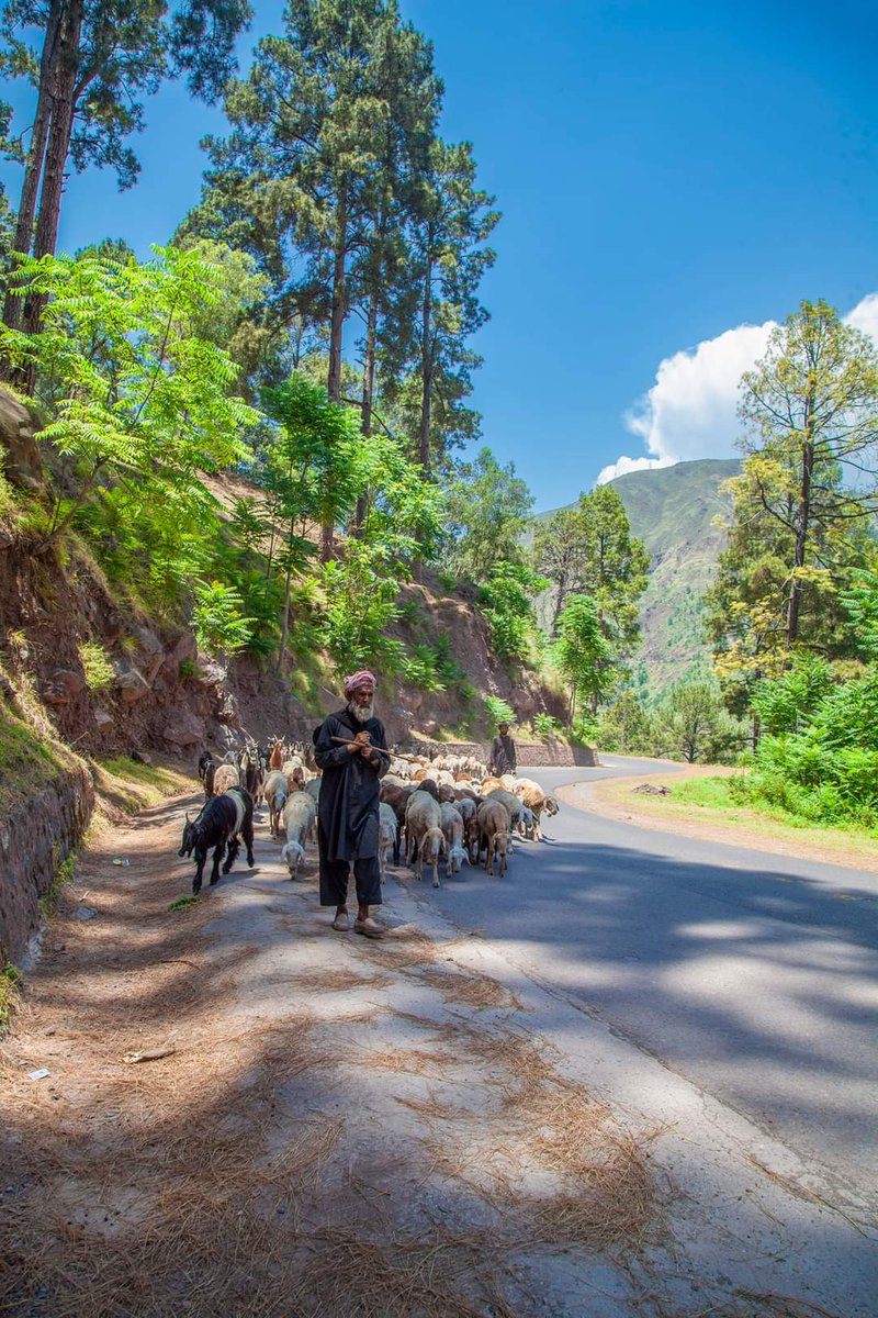 Neelum valley.