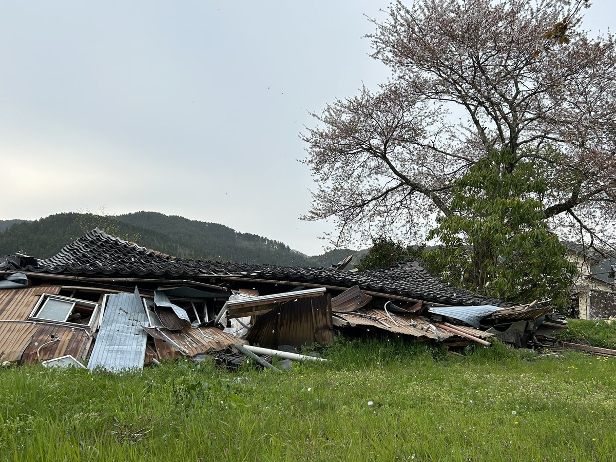 mofmoft's tweet image. 能登でボラ。変わってしまった生活とは対照的に、変わらずに咲く桜が悲しかった