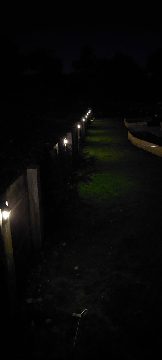 PaulDonGipps's tweet image. No luck spotting the #DevilsComet yet. So here&apos;s another pic 📸 of the garden lights. #StrzeleckiRanges