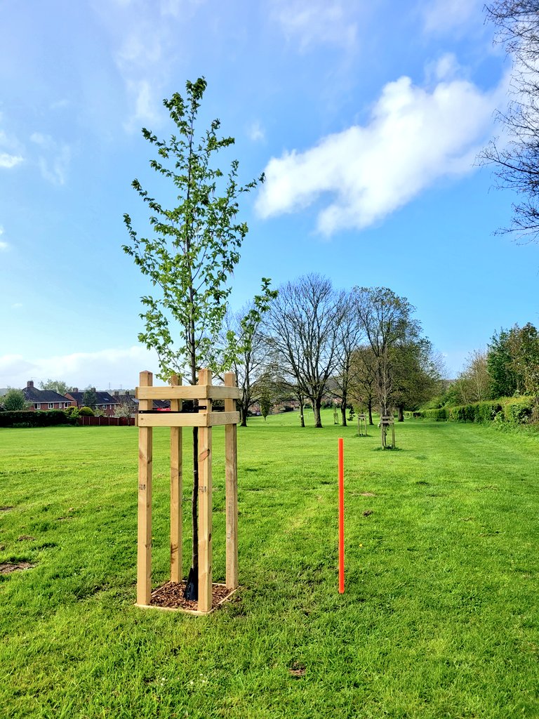 Tail walking at junior parkrun, Beautiful when the sun came out, new trees in the park, one nicely located at marshall post 6 the top of the hill. #juniorparkrun #highvisheroes #loveparkrun