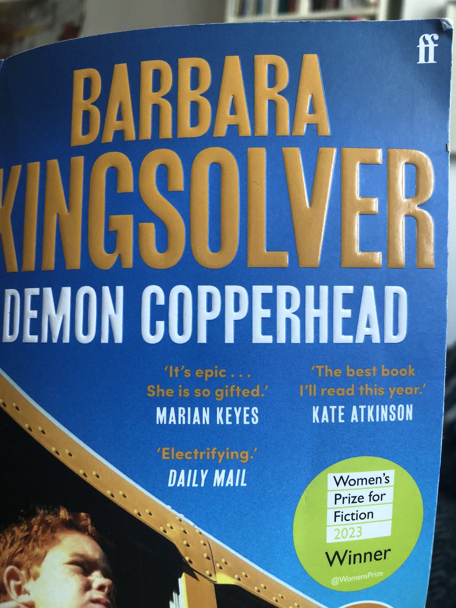 A book recommendation (fiction) from me for a change. I was in California two weeks ago and saw what the opioid crisis is doing to people. Now I'm reading Demon Copperhead and it's brilliant and heartbreaking and you understand a lot of things better afterwards.