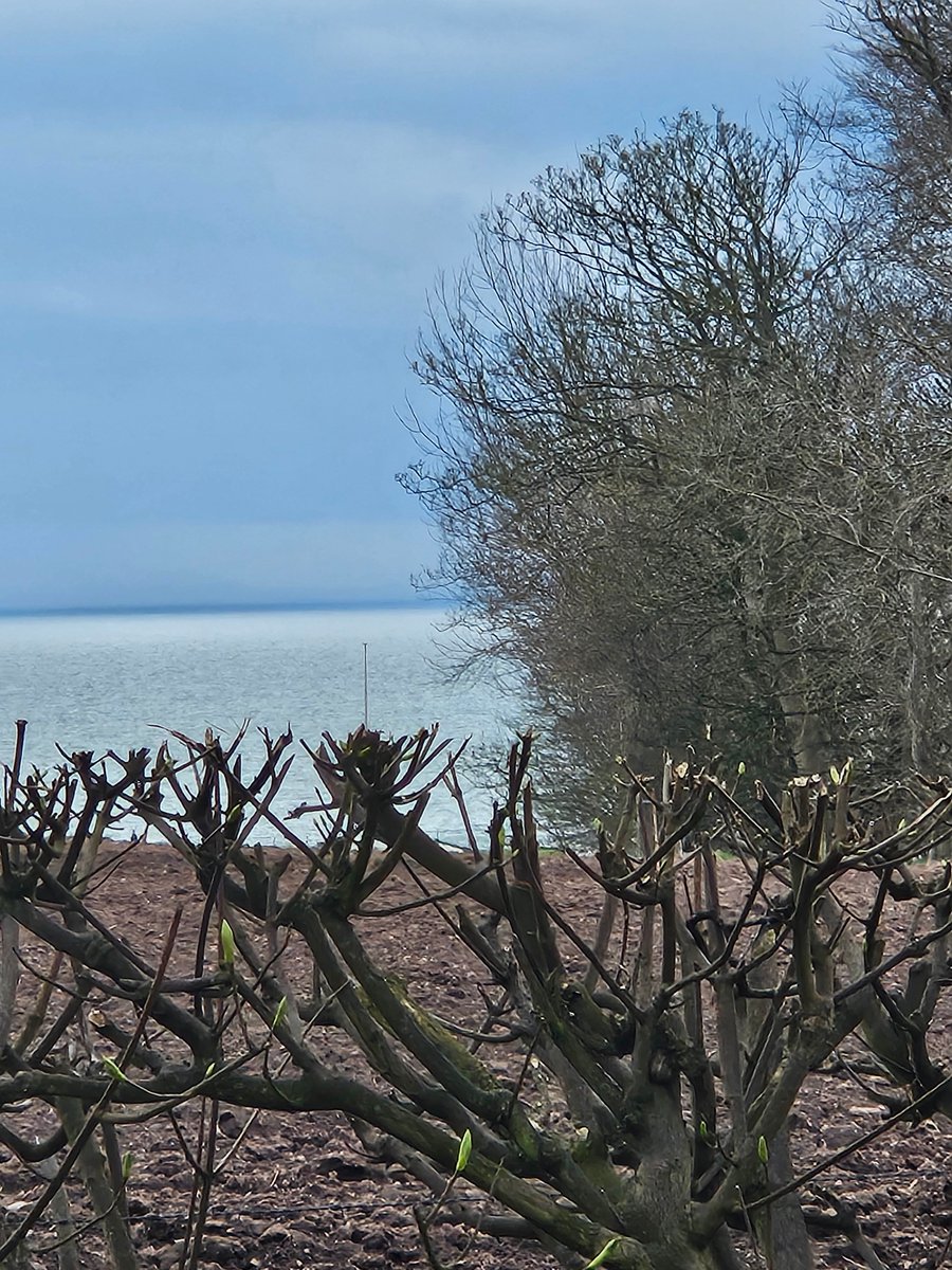 JoinMeDancing's tweet image. A few scenes from my artist residency, Hospitalfield, Arbroath, Scotland, 1st-15th April.  Brief work-in-progress showing in my beautiful 170-year-old studio!