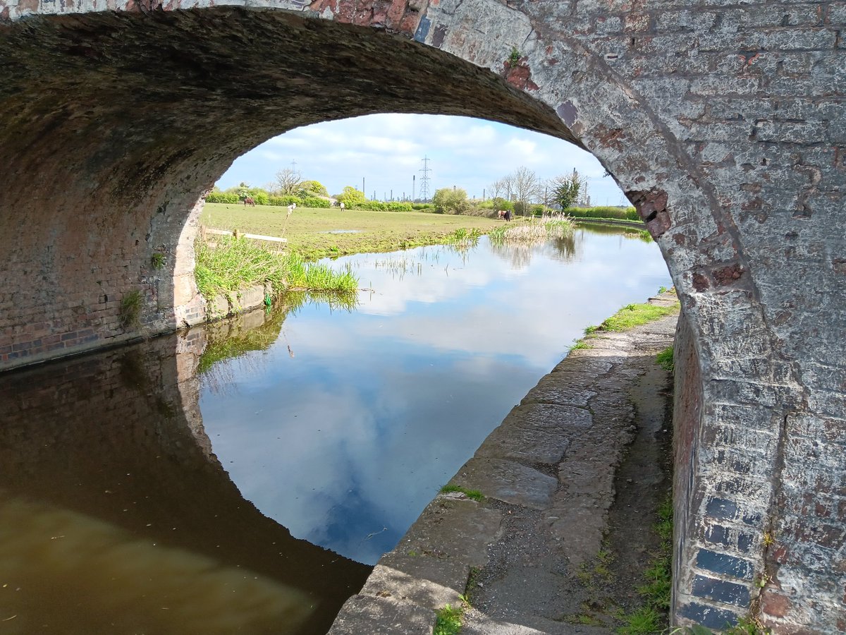 Bridge 137 #ShropshireUnionCanal 
@CRTNorthWest
#volunteerbywater
#KeepCanalsalive 
On a cycle ride today