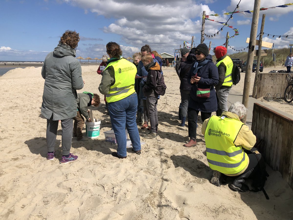 @RM_Oudheden #strandstruindag /#Doggerland beach comb day 2024 @DeZandmotor in full swing!! #citizenscience #PublicArchaeology