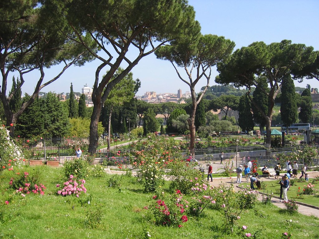 Riaperto da questa mattina il Roseto Comunale. Accesso gratuito fino al 16 giugno tutti i giorni dalle 8.30 alle 19.30. Oltre a 1.200 tipologie di rose, un angolo è dedicato al concorso internazionale sulle nuove varietà #fotodelgiorno