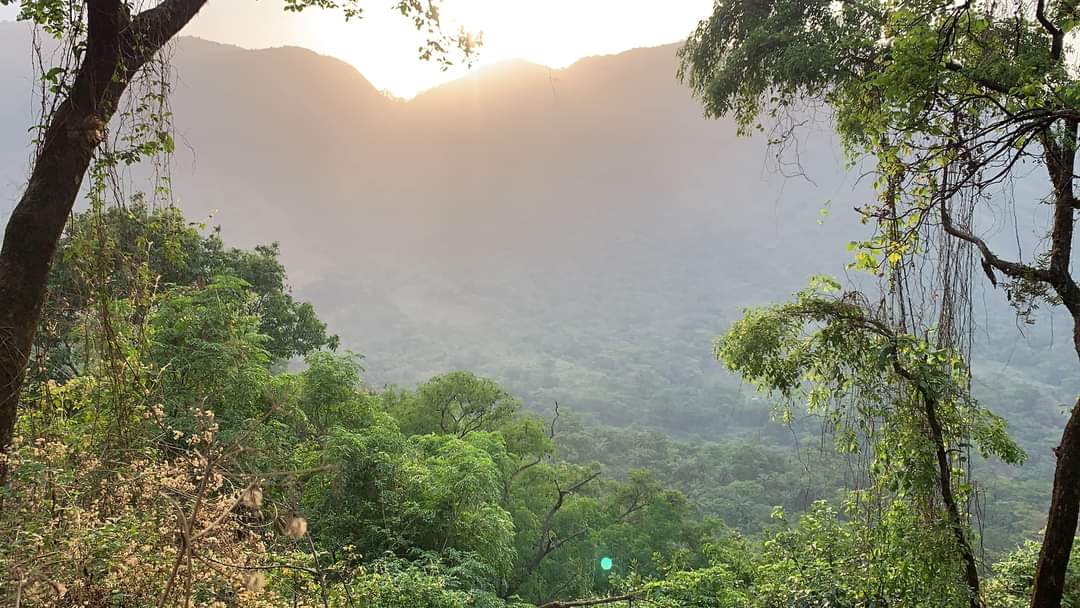 Hello 👋 and Happy Sunday from the “Abamnbi” Hill on your descent and ascension to the Nten valley in the Mekaf village, Fungom Subdivision of the Menchum Division in the Northwest Region of Cameroon.

#agriculture #farming #landscape #adventure #phonephotography #tourism