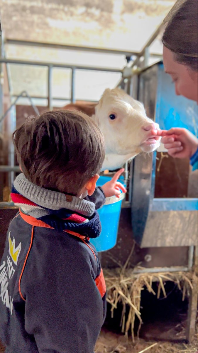 VisitFVG's tweet photo. Immerso tra le montagne del Monte Zoncolan, #Sutrio ti aspetta per scoprire le tradizioni locali in una passeggiata guidata attraverso boschi rigogliosi e stradine lastricate. Tanti animali ti conquisteranno con la loro dolcezza! https://t.co/lIGAWNExSv
#visitfvg #iosonofvg https://t.co/p40uJRW8jc