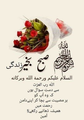 Aaslam o Aliakun

Good Afternoon
Kesey hain sb friend
