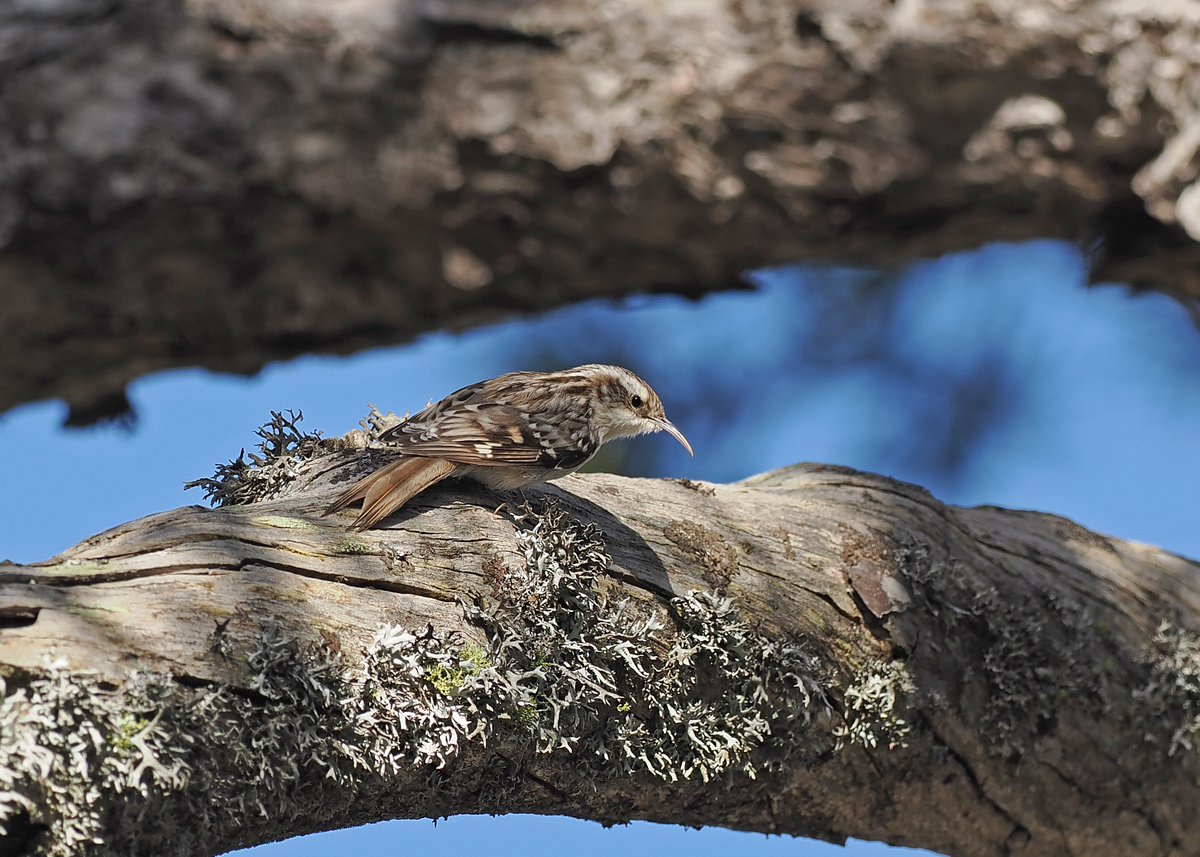 Gary Howard tweet media