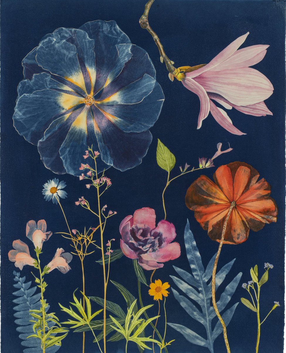 Julia Whitney Barnes, Picturesque Botany
watercolor, gouache and cyanotype