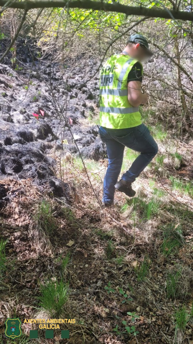 APRAFOGA's tweet photo. #AxentesAmbientais @Xunta poñen a disposición da xustiza a outro presunto incendiario. Novamente, a #UIFO @incendios085, tras investigación e apertura das primeiras dilixencias, identifican o presunto autor d varios #IIFF n concello de Calvos de Randín, Ourense 
#PolicíaAmbiental https://t.co/S0N73nEWW0