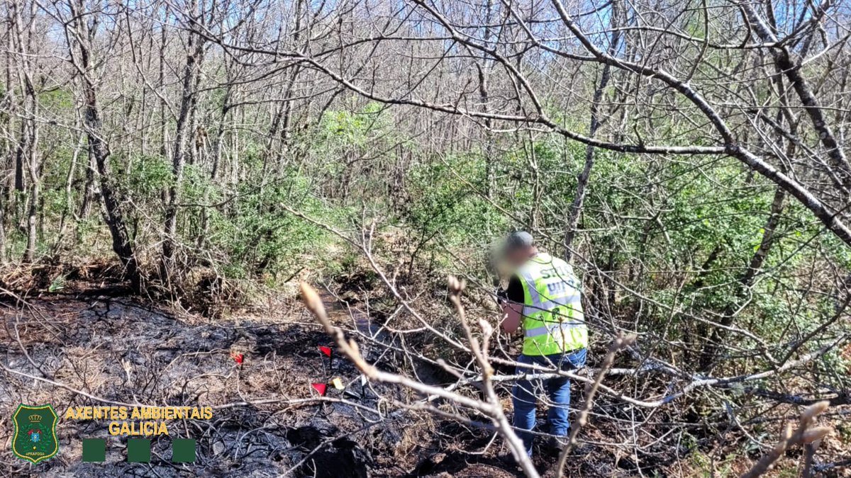 APRAFOGA's tweet photo. #AxentesAmbientais @Xunta poñen a disposición da xustiza a outro presunto incendiario. Novamente, a #UIFO @incendios085, tras investigación e apertura das primeiras dilixencias, identifican o presunto autor d varios #IIFF n concello de Calvos de Randín, Ourense 
#PolicíaAmbiental https://t.co/S0N73nEWW0