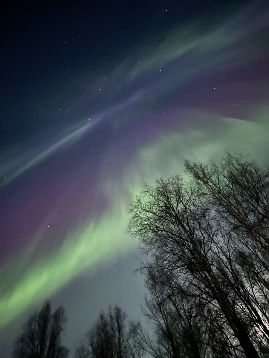 Just had an explosion of colorful aurora here in my backyard in Fairbanks! Magical.