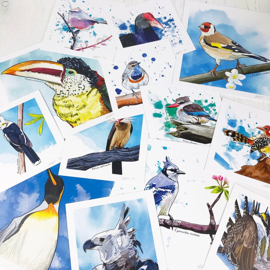 Hello @UKGiftHour lovelies 👋 not been round these parts for a while. Not enough hours in the day kinda thing and rubbish neighbours having building work 😳 But here some new bird prints I’ve done… loadofolbobbins.com/bird-prints #UKGiftAM #ShopIndie #UKGiftHour