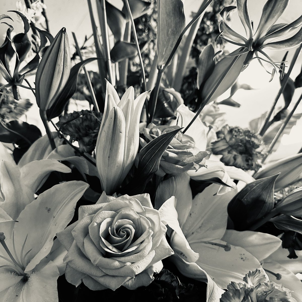 #ファインダー越しの私の世界