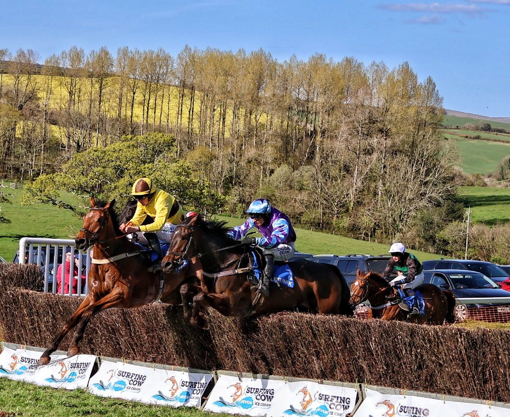 Another fantastic afternoon's racing at Flete Park ptp yesterday with absolutely perfect weather @PointingDC @Point2PointAuth #GoPointing