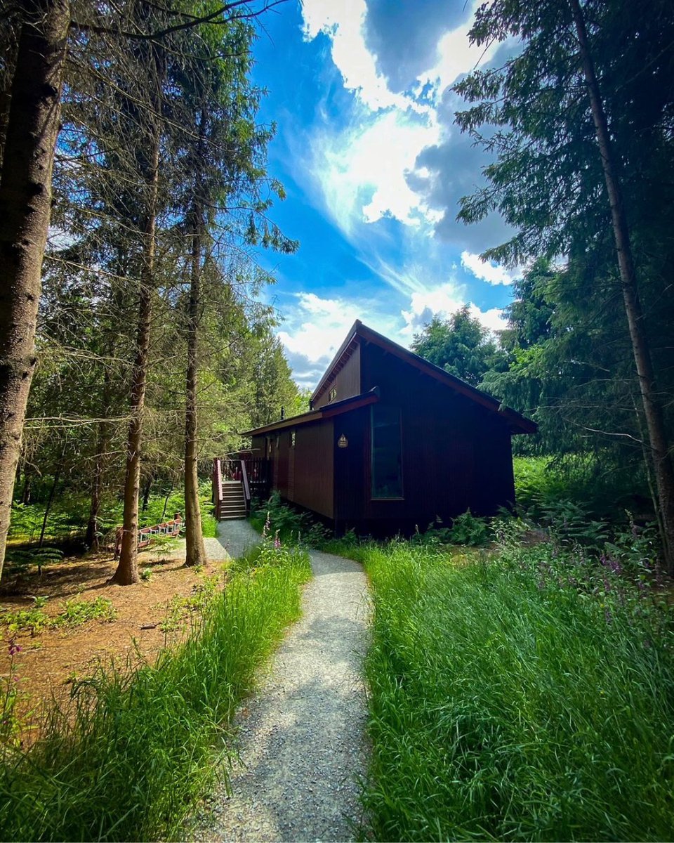 Thanks to the April showers, the forest is turning greener by the day 💚

📍 Delamere Forest, Cheshire
📸 awrightgoodpicture

#forestfeeling #cabininthewoods #uktravel