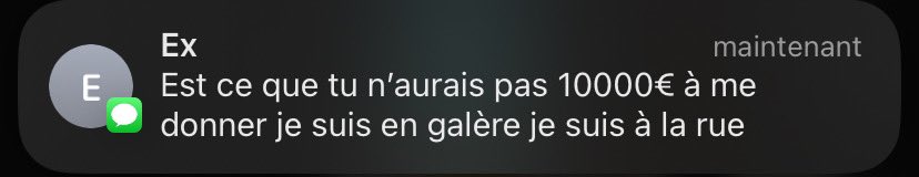 🇲🇦 tweet media