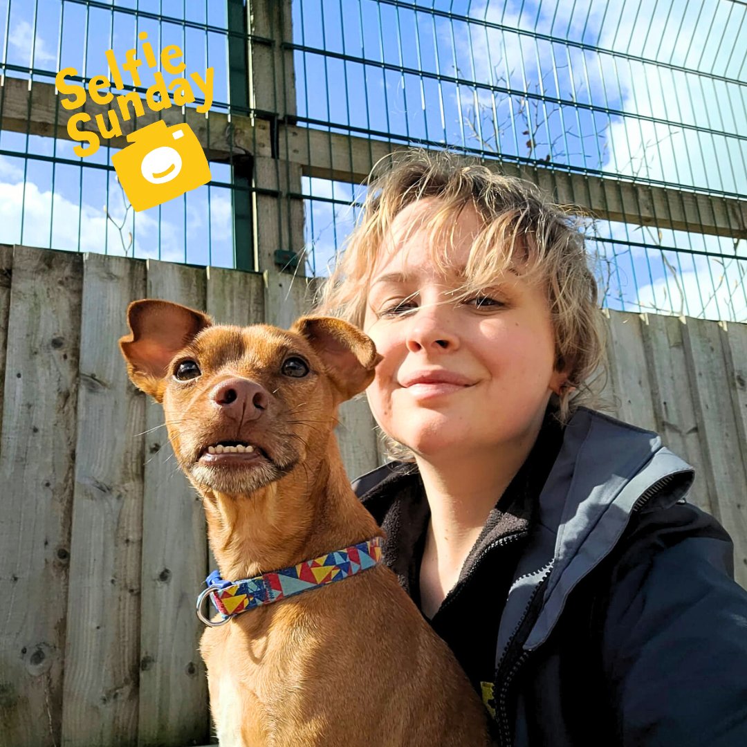 #SelfieSunday time with Jack and Canine Carer Stacey 💛 Just look at those teethies! We can't help but love Jack's little underbite 😍 This little man has now been reserved! 🫶🏻

#DogsTrust #DogsTrustCardiff #Selfie #thatunderbitetho  #Cardiff #adoptdontshop #adogisforlife