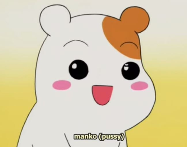 remember in polite company it should be referred to as wanko omanko