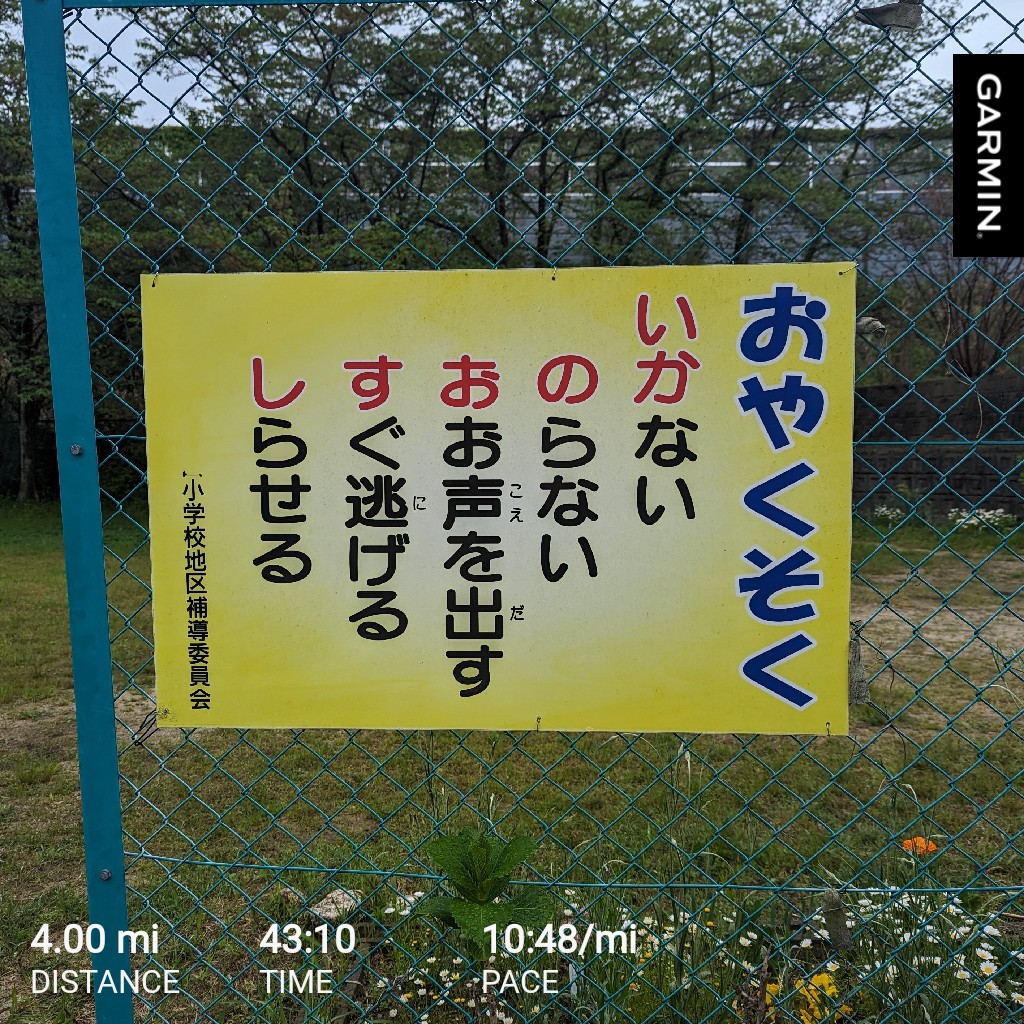 the_naotake's tweet photo. #いかのおすし #garmin #beatyesterday #run #running #runner #iruntheworld #japanrun https://t.co/SZZIiFyLS6