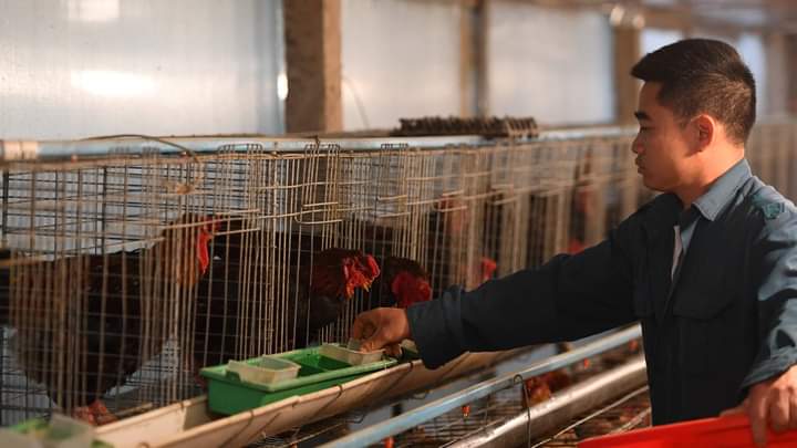 Le Vietnam enregistre pour la première fois un rare cas humain de grippe aviaire H9N2.
(ça faisait longtemps.... pfizer est déjà sur le coup ?)
l.bfmtv.com/2e0n