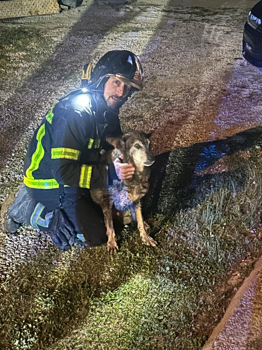 112cmadrid's tweet photo. 🚒 Los #BomberosCM del #Parque42 (#ColladoVillaba) han rescatado de madrugada a un perro 🐕 caído en un pozo de unos 4 metros de profundidad.
➤ Sus dueños lo llevaban buscando todo el día hasta que, ya de noche, comenzó a ladrar dentro del pozo de su jardín.
#ASEM112 https://t.co/3rsLSHX0zo