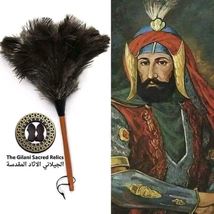 In ancient times, the floor of the Masjid-e-Nabvi Sharif was cleaned with peacock and ostrich wings. 

Then when those brushes got old, they were sent to the kings of the Muslim world. 

They considered it an honor to put them in their crown and turban. 

#Ottoman