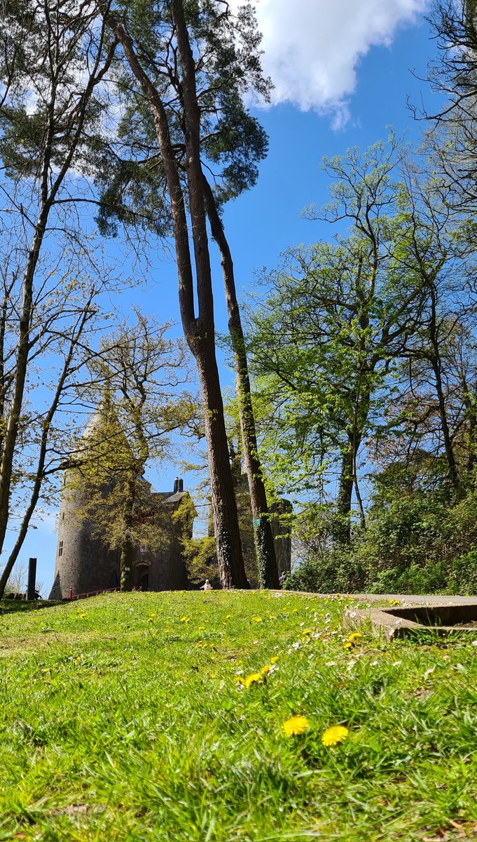 CastellUK's tweet photo. Good morning 🌄
Gorgeous spring sunshine walk around @lovecastellcoch woodlands
The wild bluebells are out 🪻🪻🪻 as are dandelions, daisy, wild garlic #sopretty ☀️🌸🌼💮
Have a good weekend everyone xxx
#Cardiff #Tongwynlais #Castelluk #localmaker #handmadesoap #carfreshener https://t.co/ljVHtn6T0Y