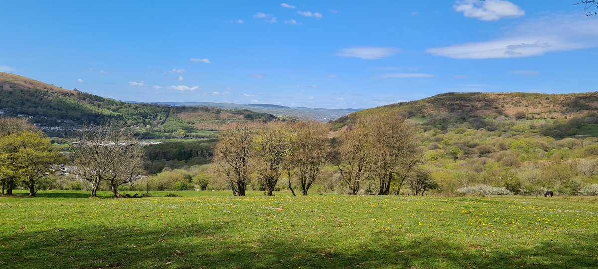 CastellUK's tweet photo. Good morning 🌄
Gorgeous spring sunshine walk around @lovecastellcoch woodlands
The wild bluebells are out 🪻🪻🪻 as are dandelions, daisy, wild garlic #sopretty ☀️🌸🌼💮
Have a good weekend everyone xxx
#Cardiff #Tongwynlais #Castelluk #localmaker #handmadesoap #carfreshener https://t.co/ljVHtn6T0Y