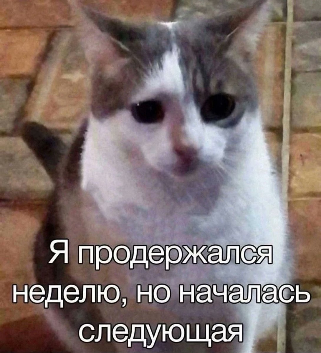 Да я