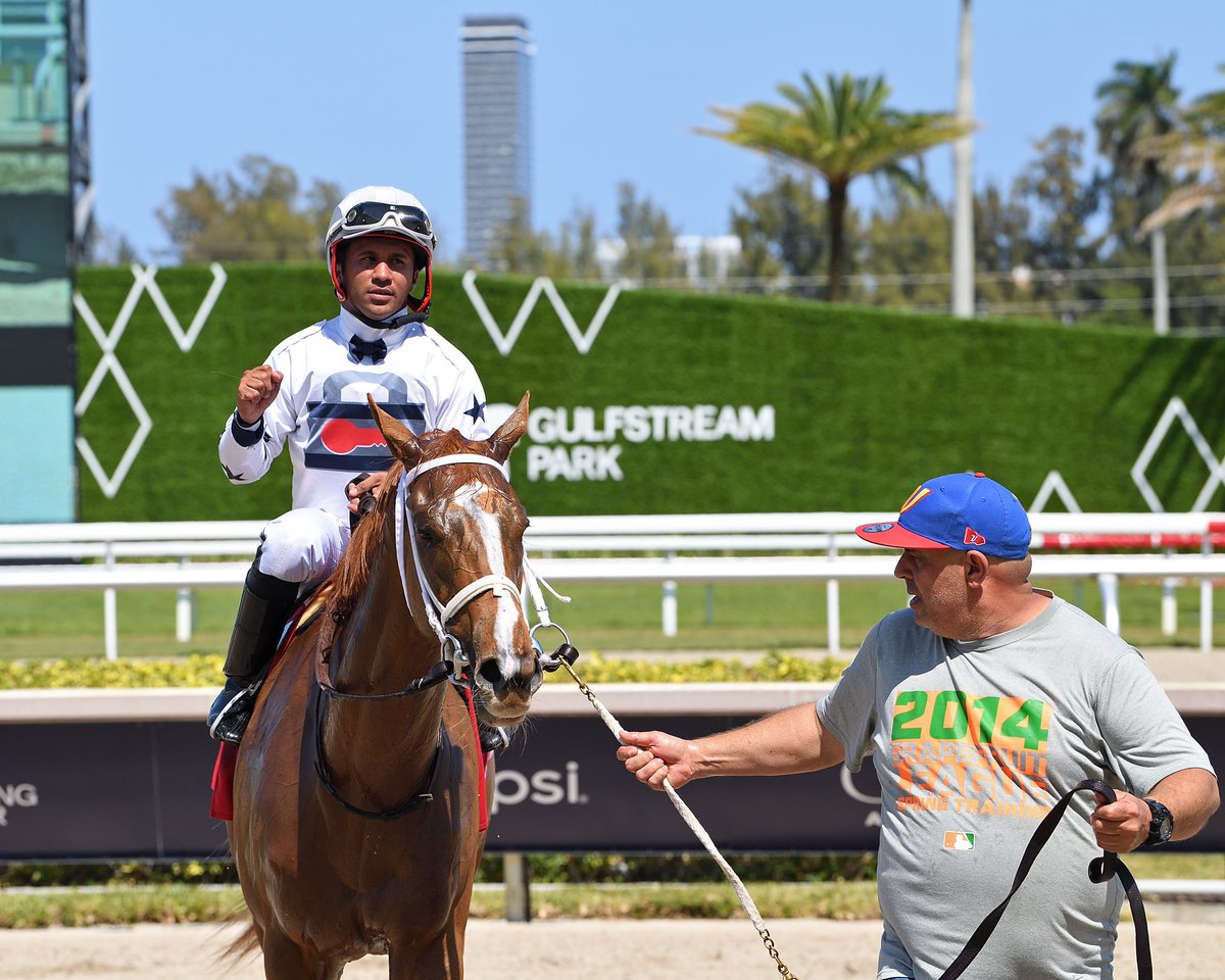 JFDAngelo's tweet photo. #21Apr Deflection 

Jockey: Miguel Ángel Vásquez 
Trainer: José Francisco D’Angelo
Owner: Tami Bobo
Maiden Special Weight $60,000 • Turf

4️⃣th victory for Jose Francisco D’Angelo #GulfstreamPark #RoyalPalmMeet Saturday, April 20, 2024 #TeamDangelo

📸 @coglianesephoto / Lauren King / @RyanFromChicago
