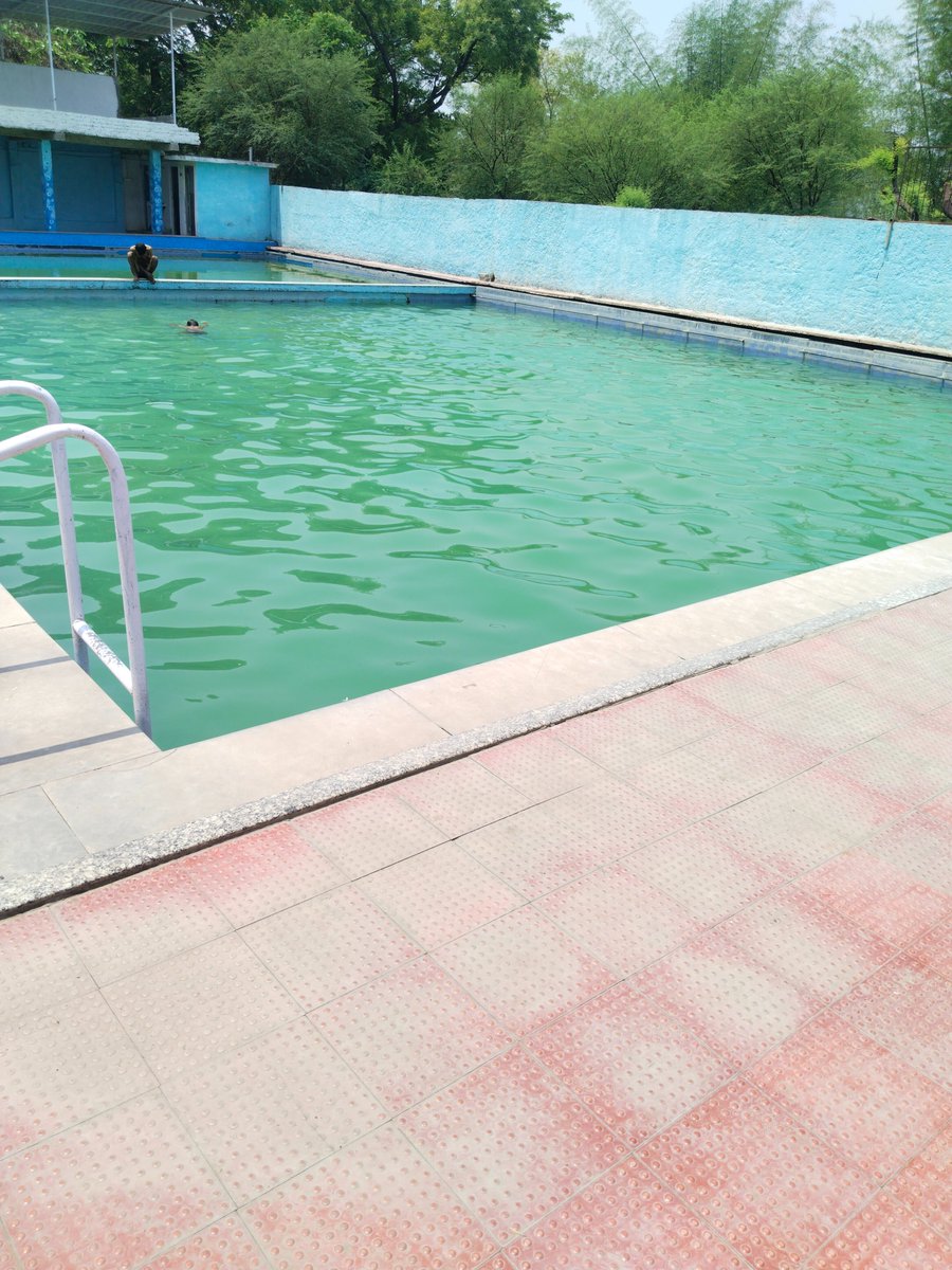 This is the condition of Swimming pool in Nagpur at St Mary's Swimming. @NagpurPolice @ngpnmc @InfoVidarbha The water has not been changed for days...
Request Honourable Nagpur authorities to investigate and take valuable action.