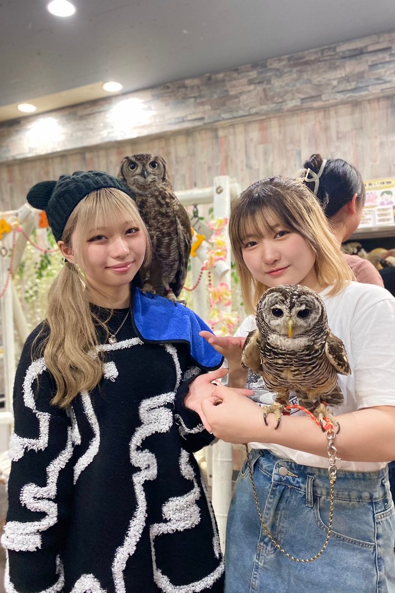 owlparktokyo tweet picture